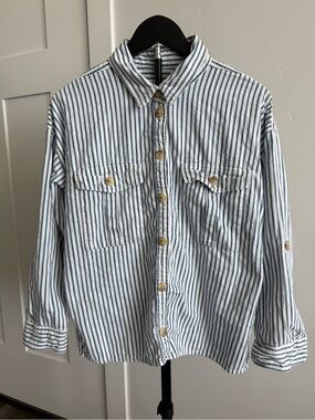 American Eagle Outfitters Blue and White Striped Button-Down Shirt